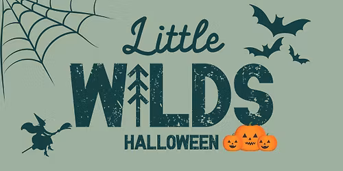 Little Wilds Halloween \u2013 Room on a Broom: Witches & Wizards \ud83e\uddd9\ud83e\uddf9