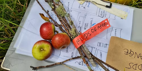 Saving Auckland's Heritage Fruit Trees: Healthy Soil, Healthy Trees