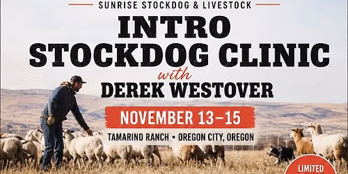 StockDog Clinic