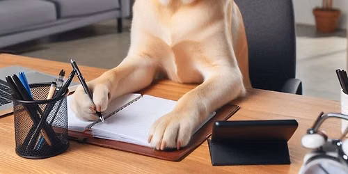 Registration for Little Eaton Carnival Fun Dog Show 2026