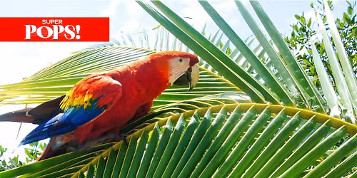 Alabama Symphony Orchestra: Parrots and Palms - Tropical Rock