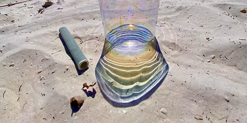 \ud83c\udf0aDunedin Soul Tribe Beach Meet Up\ud83c\udf0a