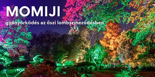 Momiji - gy\u00f6ny\u00f6rk\u00f6d\u00e9s az \u0151szi lombsz\u00ednez\u0151d\u00e9sben