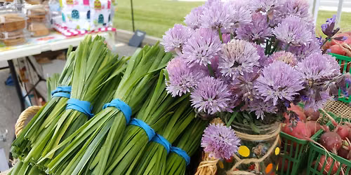 Spring Harvest Festival