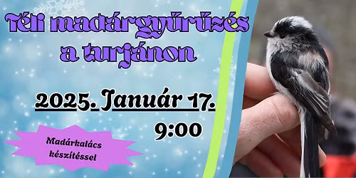 T\u00e9li mad\u00e1rgy\u0171r\u0171z\u00e9s a turj\u00e1non \u2013 mad\u00e1rkal\u00e1cs k\u00e9sz\u00edt\u00e9ssel