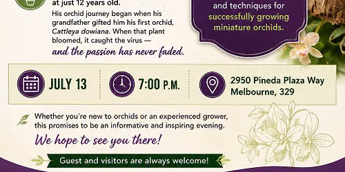 Everything about growing miniature orchids