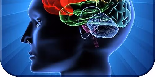 General Knowledge Trivia