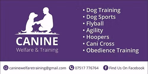 Aces High Flyball Seminar