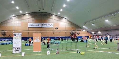 Perinteiset Tellus-kilpailut 22.-23.11 2025 / Traditionella Tellus-tävlingar 22.-23.11 2025