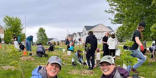 After school TREE PLANTING Event