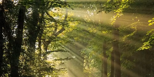 Intro to Tai Chi Gung