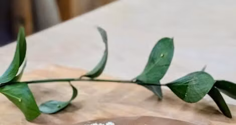 Flower Press Kids Class