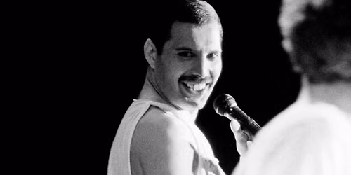 Peter Freestone Freddie t\u00e1rlatvezet\u00e9sei angolul