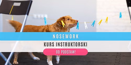 NOSEWORK: INDYWIDUALNY KURS INSTRUKTORSKI OD PODSTAW