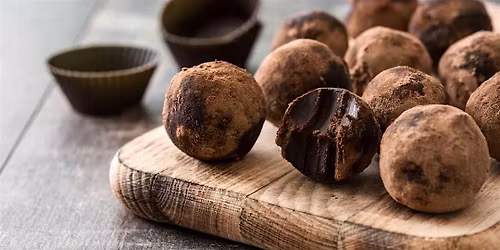 Chocolate Lab for Chocoholics