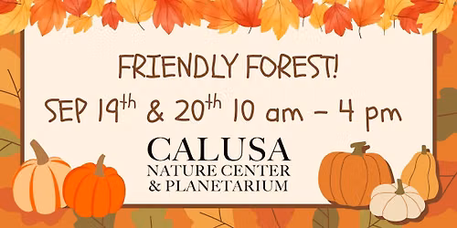 Friendly Forest