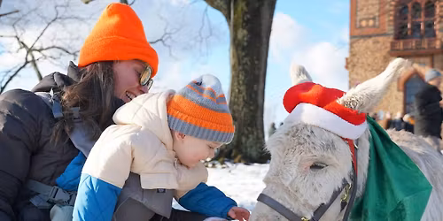 Olana Winter Solstice Celebration