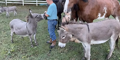 Open House: Spearhead Stables and Farm, May 2