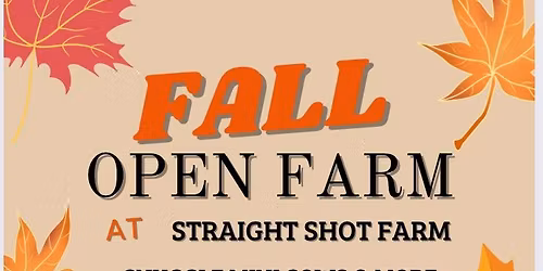 Fall Open Farm: Straight Shot Farm (with mini cows!!)