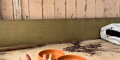 \ud83c\udf38\ud83c\udfa8 Kids Paint & Plant Party! \ud83c\udf53\ud83c\udf3c