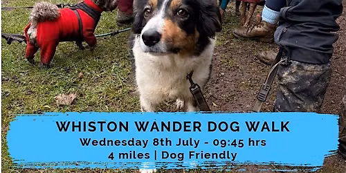 WHISTON WANDER DOG WALK | 4 MILES | NORTHANTS