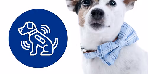 Microchipping Cats & Dogs