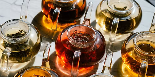 Explore Garden Teas: Get Your Sipping Senses Going
