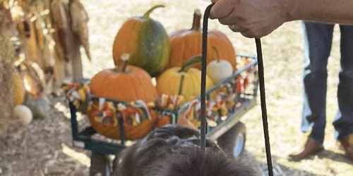Land & Sea Pumpkin Pull 