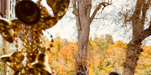 Burghauser Adventskränzchen – Musik, Geschichten & Weihnachtsstimmung pur 🎄🎶