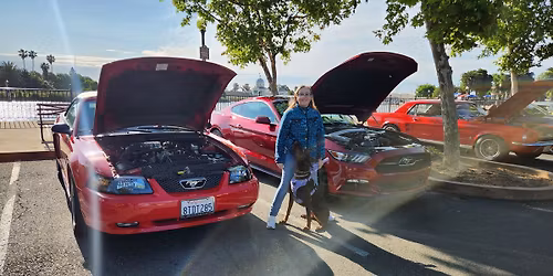 Biggest Little Car Show