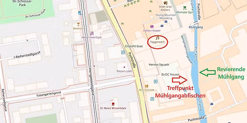 M\u00fchlgangabfischen Graz