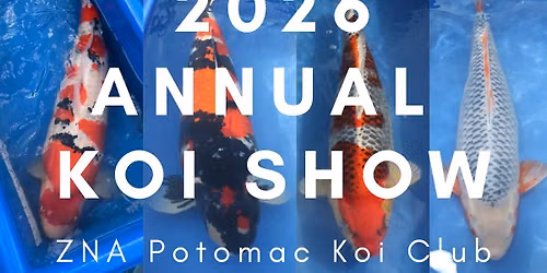 2026 ZNA Potomac Annual Koi Show
