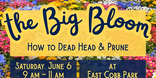 East Cobb Garden Club June Meeting & Work Day