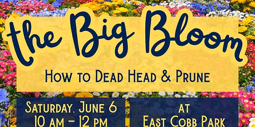 East Cobb Garden Club June Meeting & Work Day