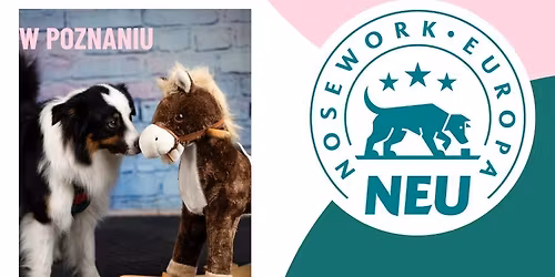 Zawody Nosework Europa o Puchar Chilalandu  w Poznaniu