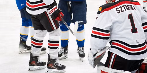 Aigles Bleus Hockey Masculin vs Dalhousie