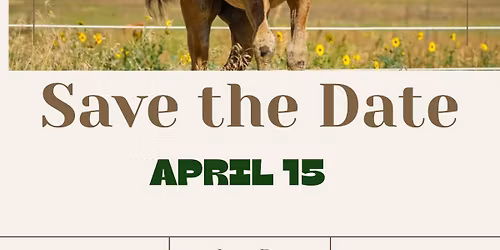 Terolyn Horse Rescue fundraising event