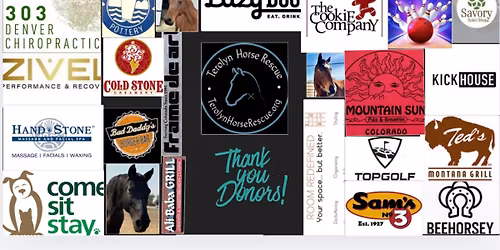 Terolyn Horse Rescue fundraising event