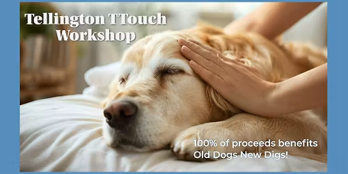 Tellington TTouch® Workshop for Dog Lovers - supports Old Dogs New Digs!
