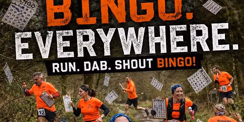BINGO RUN