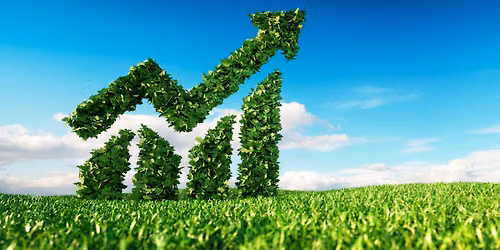 Centre for Sustainable Business Transfromations