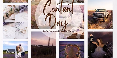 Michigan Content Day