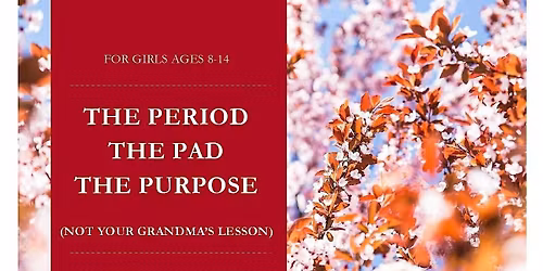 The Period The Pad The Purpose