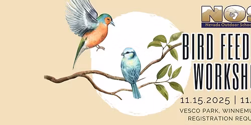 Bird Feeder Workshop