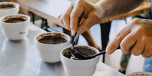 Intro to Coffee Quality (Defect Coffee)