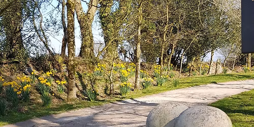 Healing in Hospitals & Hospices Workshop 