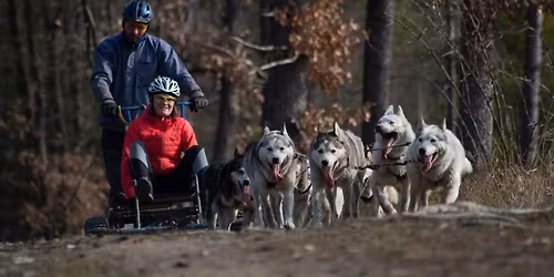 Mushing l\u00e1vovou stezkou 2025 Musher