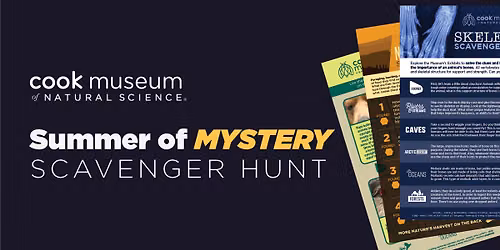 Summer of Mystery Scavenger Hunts