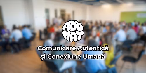 Vizibil \u00cempreun\u0103: Socializare Autentic\u0103 la Cluj Hub