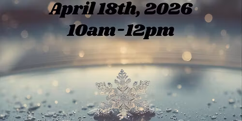 Frosted Frames: Coffee and Cars